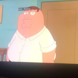 Meet your Posher, Teddy